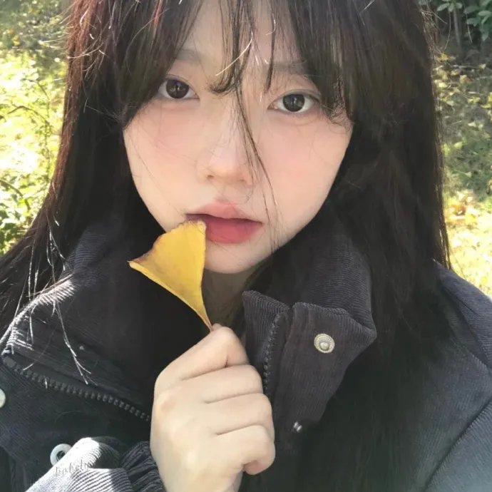 龙年档案